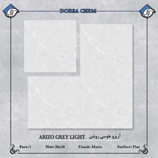آریزو طوسی روشن
