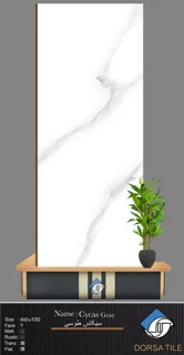سیکاس طوسی