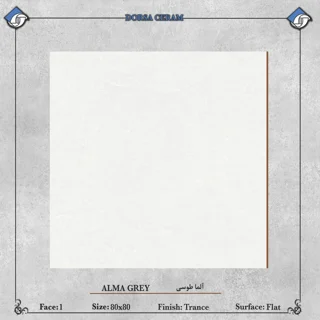 آلما طوسی
